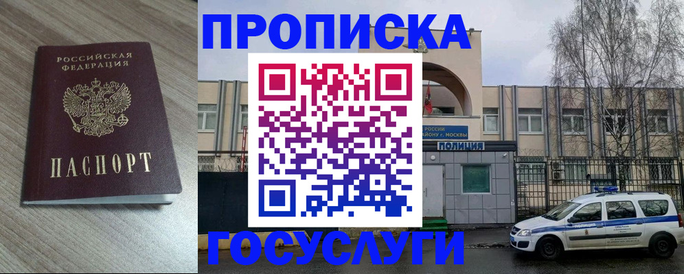 временная регистрация поиск в Краснодаре